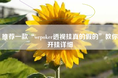 推荐一款“wepoker透视挂真的假的”教你开挂详细