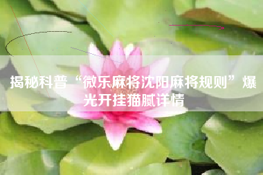 揭秘科普“微乐麻将沈阳麻将规则”爆光开挂猫腻详情