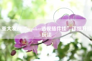 重大发现“wepoker透视插件挂	”详细开挂玩法