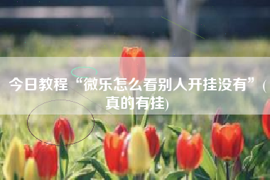 今日教程“微乐怎么看别人开挂没有”(真的有挂)