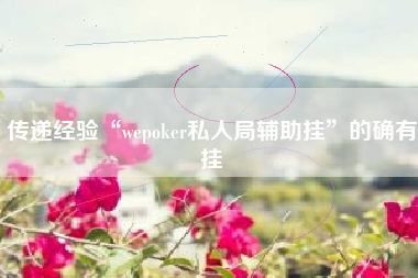 传递经验“wepoker私人局辅助挂	”的确有挂