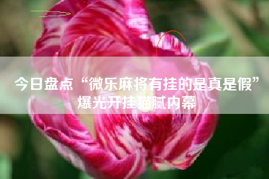 今日盘点“微乐麻将有挂的是真是假”爆光开挂猫腻内幕