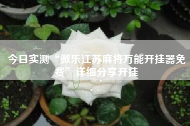 今日实测“微乐江苏麻将万能开挂器免费”详细分享开挂