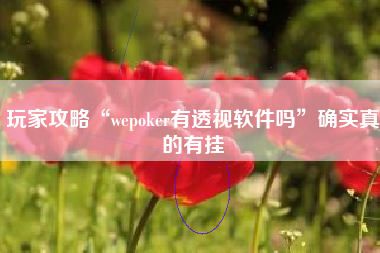 玩家攻略“wepoker有透视软件吗	”确实真的有挂