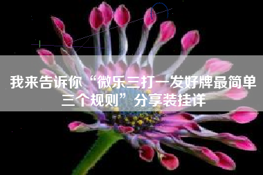 我来告诉你“微乐三打一发好牌最简单三个规则”分享装挂详