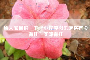 给大家通报一下“小程序微乐麻将有没有挂”实际有挂