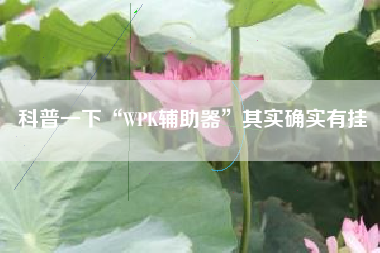 科普一下“WPK辅助器	”其实确实有挂