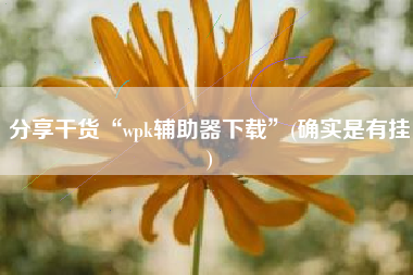 分享干货“wpk辅助器下载”(确实是有挂)