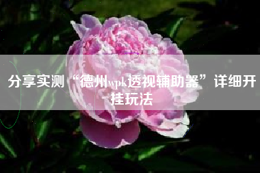 分享实测“德州wpk透视辅助器”详细开挂玩法