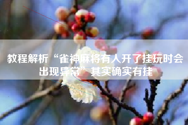 教程解析“雀神麻将有人开了挂玩时会出现异常”其实确实有挂