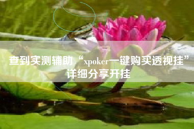 查到实测辅助“xpoker一键购买透视挂”详细分享开挂