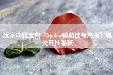 玩家攻略宝典“Xpoker辅助挂专用版”爆光开挂猫腻