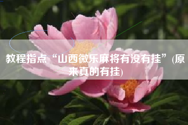 教程指点“山西微乐麻将有没有挂	”(原来真的有挂)