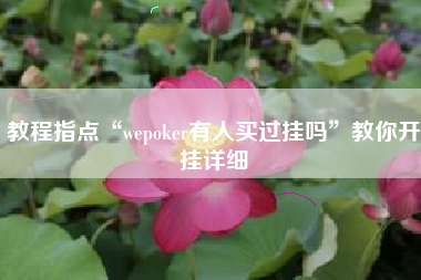 教程指点“wepoker有人买过挂吗”教你开挂详细