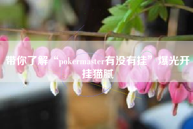 带你了解“pokermaster有没有挂”爆光开挂猫腻