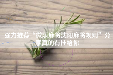 强力推荐“微乐麻将沈阳麻将规则”分享真的有挂给你