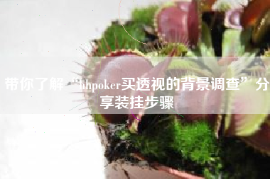 带你了解“hhpoker买透视的背景调查”分享装挂步骤
