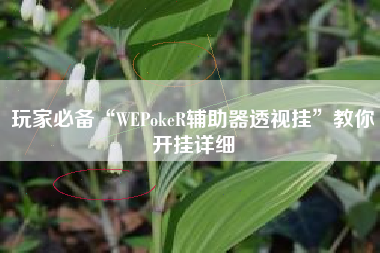玩家必备“WEPokeR辅助器透视挂	”教你开挂详细