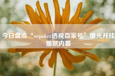 今日盘点“wepoker透视百家号”爆光开挂猫腻内幕
