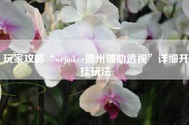 玩家攻略“wepoker德州辅助透视	”详细开挂玩法