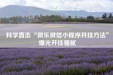 科学直击“微乐微信小程序开挂方法”爆光开挂猫腻