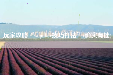 玩家攻略“wepoker技巧打法”(确实有挂)