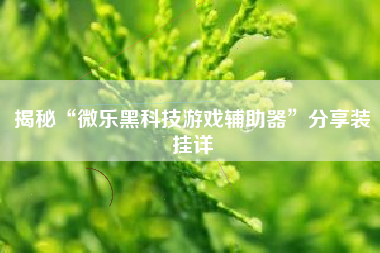 揭秘“微乐黑科技游戏辅助器”分享装挂详