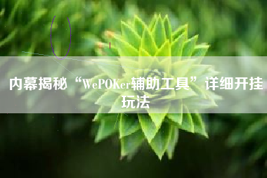 内幕揭秘“WePOKer辅助工具”详细开挂玩法