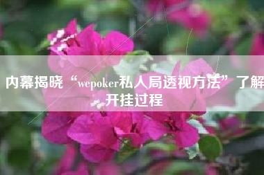 内幕揭晓“wepoker私人局透视方法”了解开挂过程
