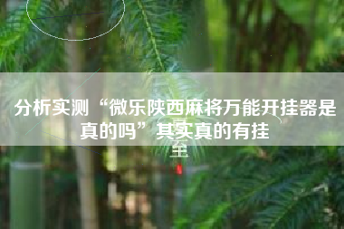 分析实测“微乐陕西麻将万能开挂器是真的吗”其实真的有挂