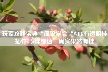 玩家攻略宝典“简单学会“WPK有透明挂插件吗(详细透”确实果然有挂