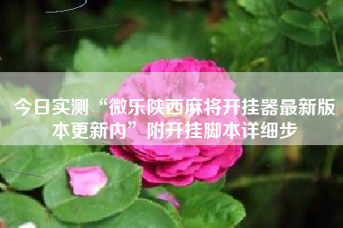 今日实测“微乐陕西麻将开挂器最新版本更新内”附开挂脚本详细步