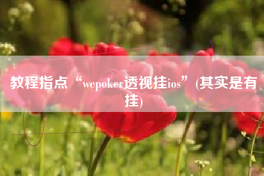 教程指点“wepoker透视挂ios	”(其实是有挂)