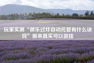 玩家实测“微乐过炸自动托管有什么诀窍	”原来真实可以装挂