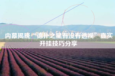 内幕揭晓“德扑之星有没有透视”真实开挂技巧分享