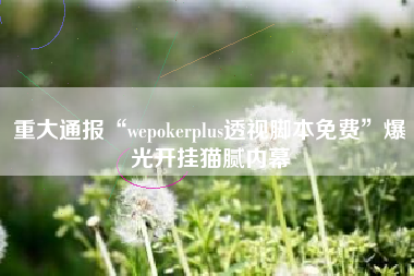 重大通报“wepokerplus透视脚本免费”爆光开挂猫腻内幕