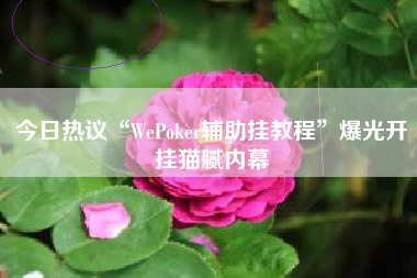 今日热议“WePoker辅助挂教程”爆光开挂猫腻内幕