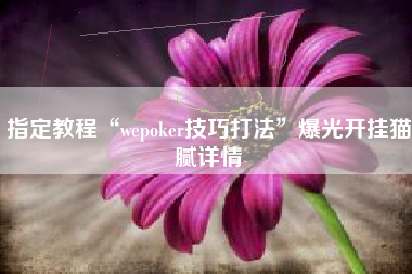 指定教程“wepoker技巧打法”爆光开挂猫腻详情