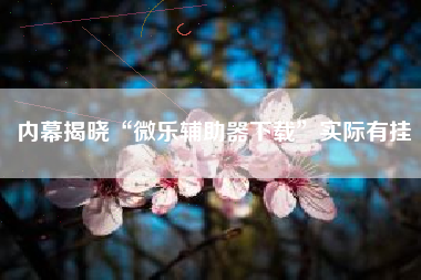 内幕揭晓“微乐辅助器下载	”实际有挂