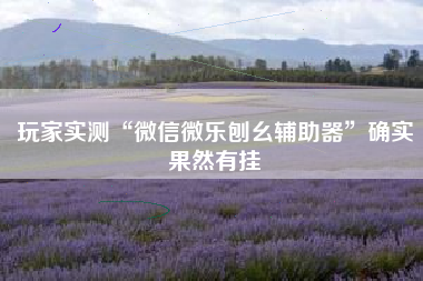 玩家实测“微信微乐刨幺辅助器”确实果然有挂