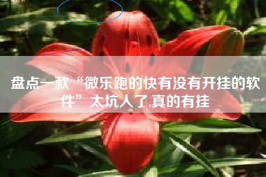 盘点一款“微乐跑的快有没有开挂的软件	”太坑人了,真的有挂