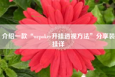 介绍一款“wepoker开挂透视方法	”分享装挂详