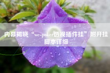 内幕揭晓“we-poker透视插件挂”附开挂脚本详细