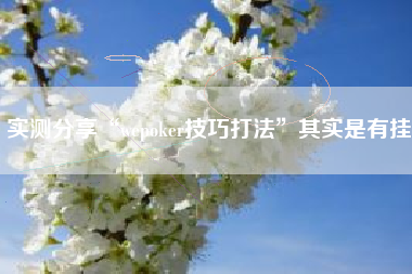 实测分享“wepoker技巧打法”其实是有挂
