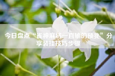 今日盘点“雀神麻将一直输的预兆”分享装挂技巧步骤