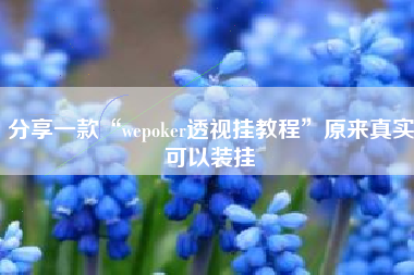 分享一款“wepoker透视挂教程”原来真实可以装挂