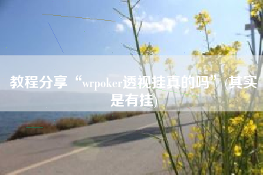 教程分享“wrpoker透视挂真的吗”(其实是有挂)