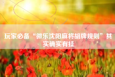 玩家必备“微乐沈阳麻将胡牌规则	”其实确实有挂