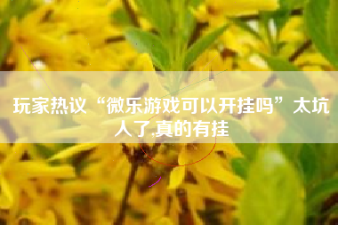 玩家热议“微乐游戏可以开挂吗”太坑人了,真的有挂