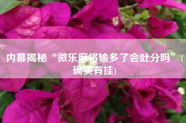 内幕揭秘“微乐麻将输多了会吐分吗”(确实有挂)